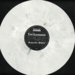 Remember Detroit - immagine 2